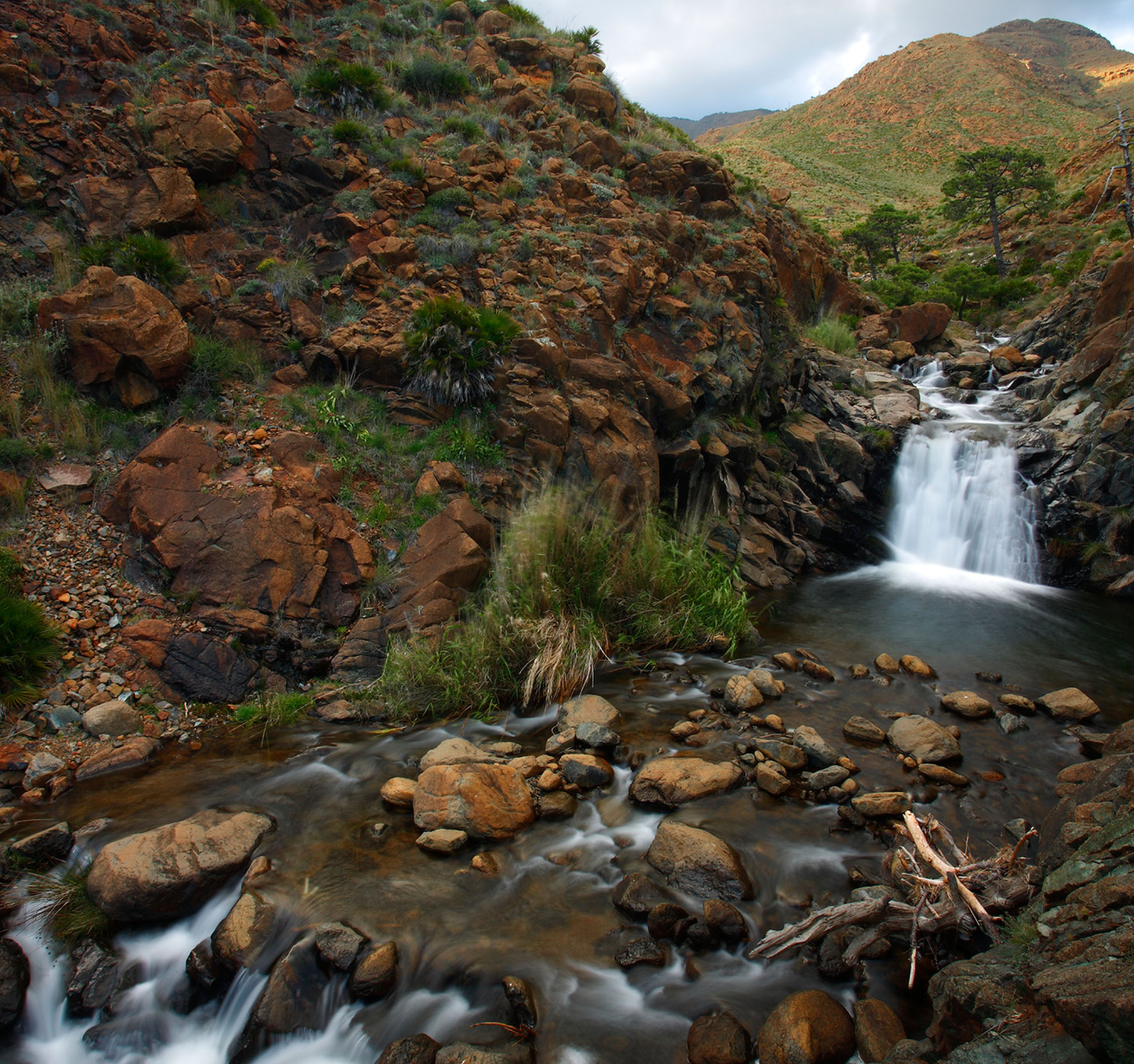Relax y Naturaleza
